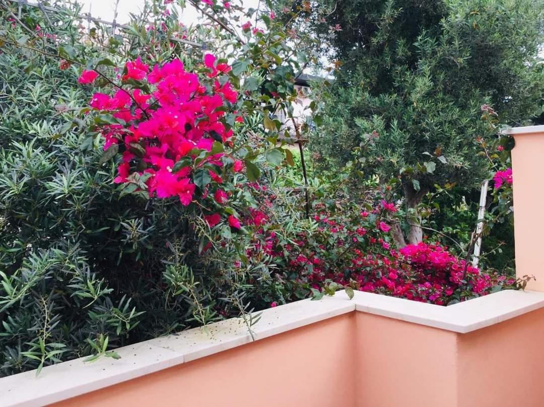 B & B Jasmine Santa Teresa di Riva Kültér fotó